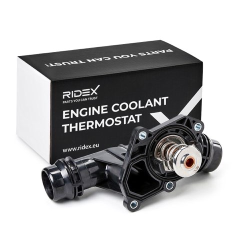 Ridex 316T0042 Thermostat, photo 2