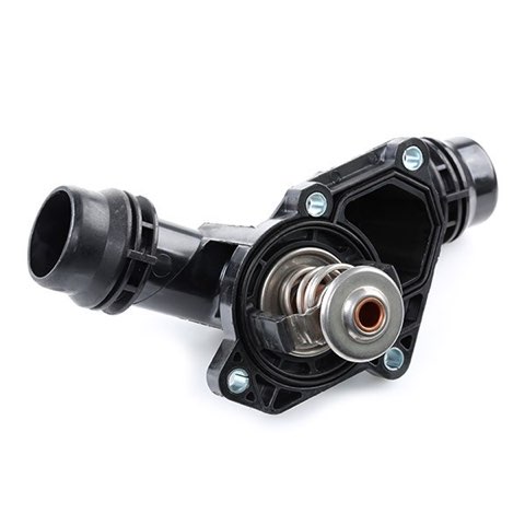 Ridex 316T0042 Thermostat, photo 3