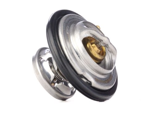 Ridex 316T0043 Thermostat