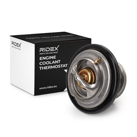 Ridex 316T0043 Thermostat, photo 2