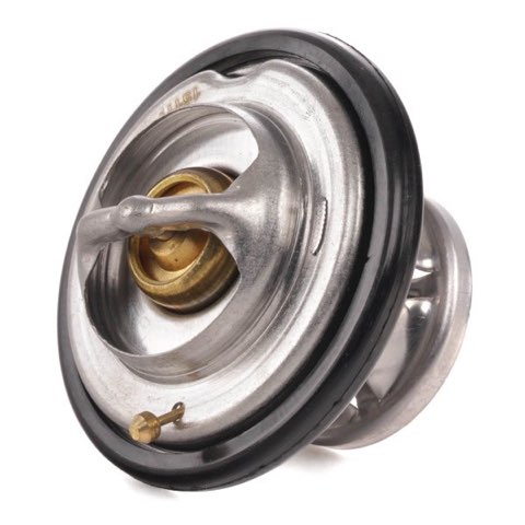Ridex 316T0043 Thermostat, photo 3