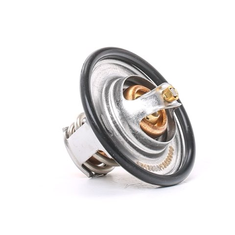 Ridex 316T0044 Thermostat
