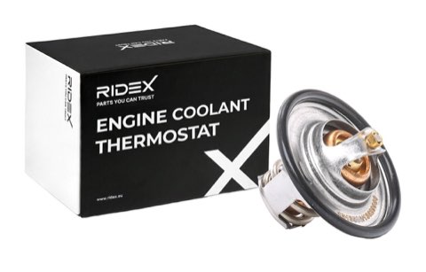 Ridex 316T0044 Thermostat, photo 2