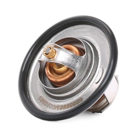Ridex 316T0044 Thermostat, photo 3