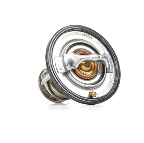 Ridex 316T0046 Thermostat