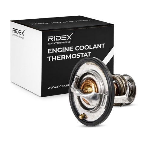 Ridex 316T0046 Thermostat, photo 2