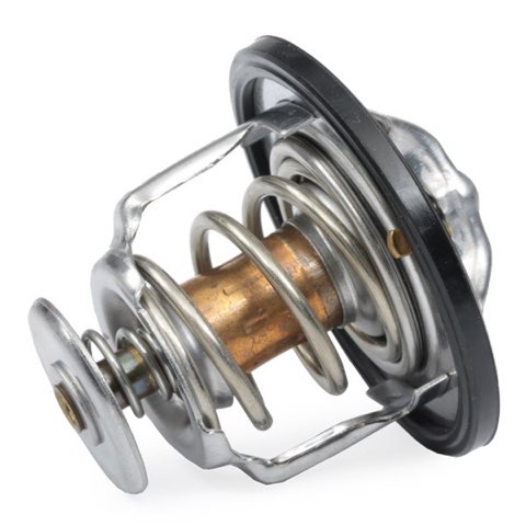 Ridex 316T0046 Thermostat, photo 3