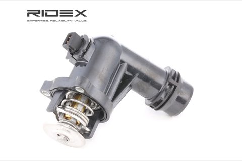Ridex 316T0047 Thermostat