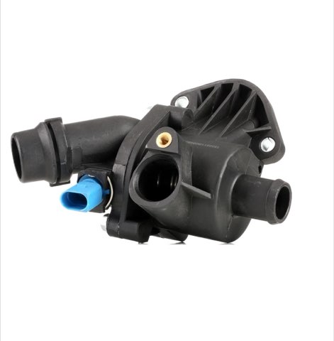 Ridex 316T0048 Thermostat
