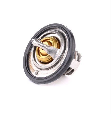 Ridex 316T0051 Thermostat