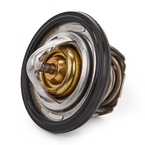 Ridex 316T0051 Thermostat, photo 2