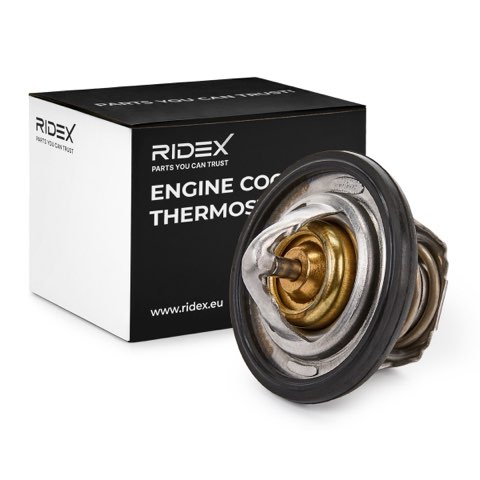 Ridex 316T0051 Thermostat, photo 3