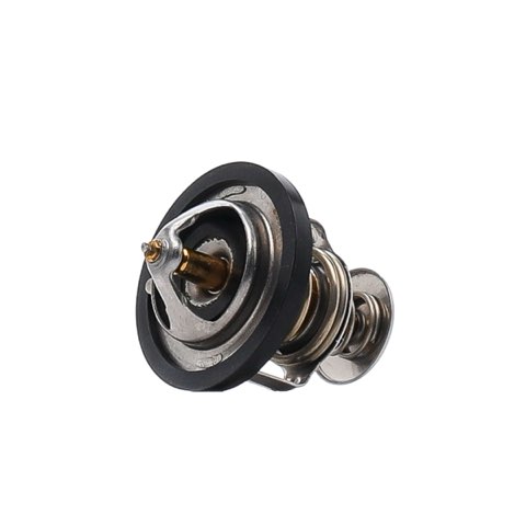 Ridex 316T0052 Thermostat