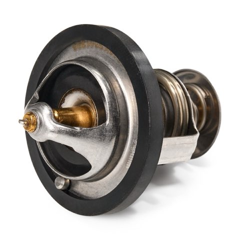 Ridex 316T0052 Thermostat, photo 3