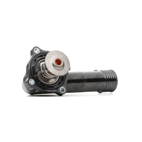 Ridex 316T0054 Thermostat