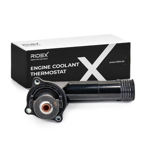 Ridex 316T0054 Thermostat, photo 2
