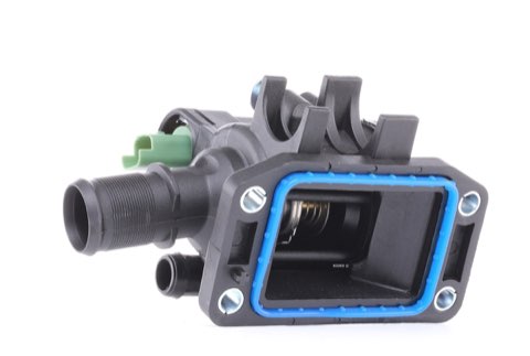 Ridex 316T0057 Thermostat