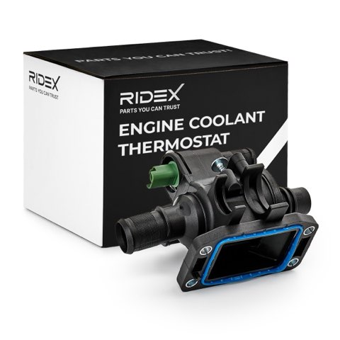 Ridex 316T0057 Thermostat, photo 2