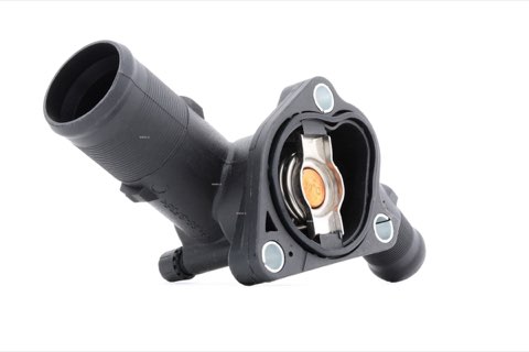 Ridex 316T0059 Thermostat