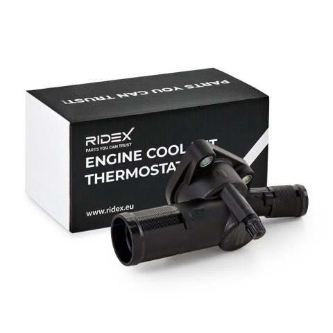 Ridex 316T0059 Thermostat, photo 2