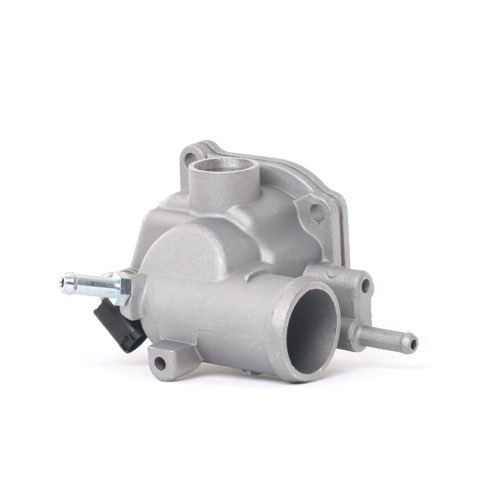 Ridex 316T0060 Thermostat