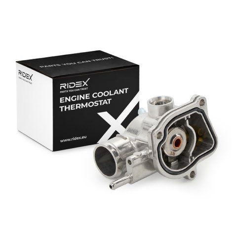 Ridex 316T0060 Thermostat, photo 2