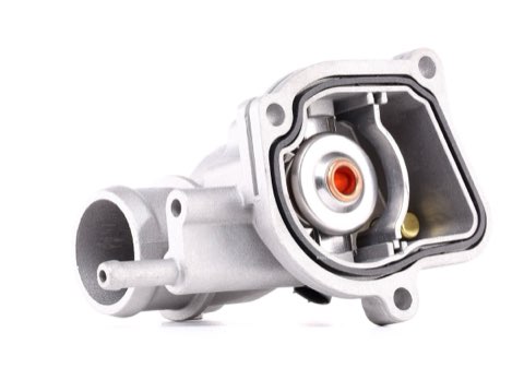 Ridex 316T0062 Thermostat