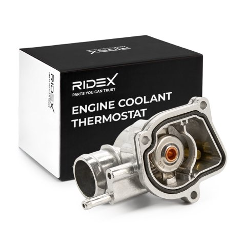 Ridex 316T0062 Thermostat, photo 2