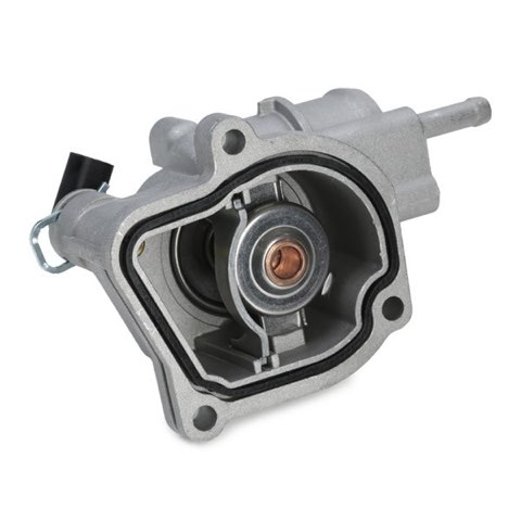 Ridex 316T0062 Thermostat, photo 3