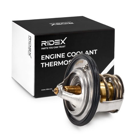 Ridex 316T0065 Thermostat, photo 2