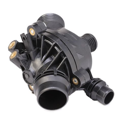 Ridex 316T0068 Thermostat, photo 3