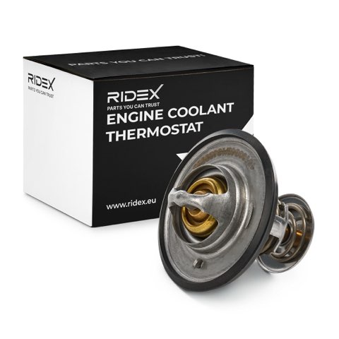 Ridex 316T0070 Thermostat, photo 2