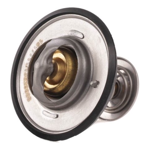 Ridex 316T0070 Thermostat, photo 3