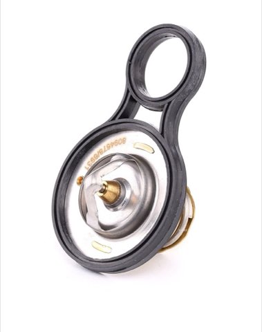 Ridex 316T0075 Thermostat