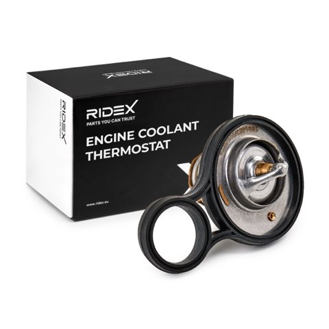 Ridex 316T0075 Thermostat, photo 2