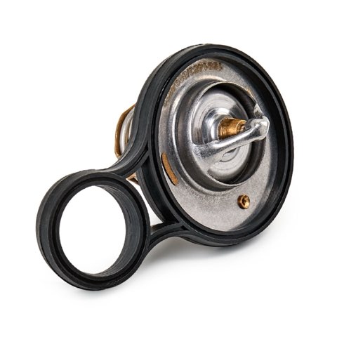Ridex 316T0075 Thermostat, photo 3