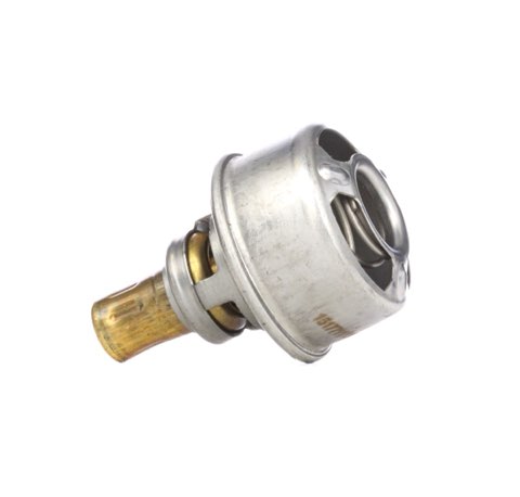 Ridex 316T0077 Thermostat