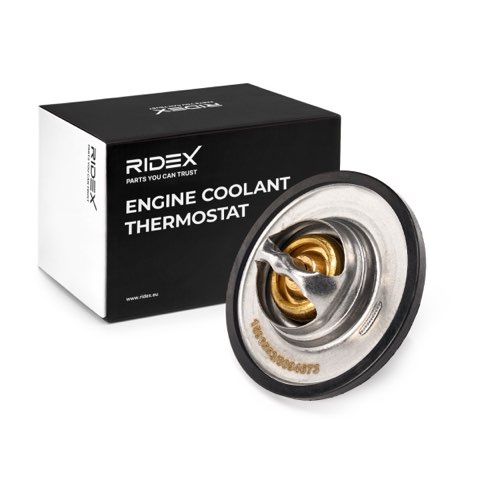 Ridex 316T0078 Thermostat, photo 2