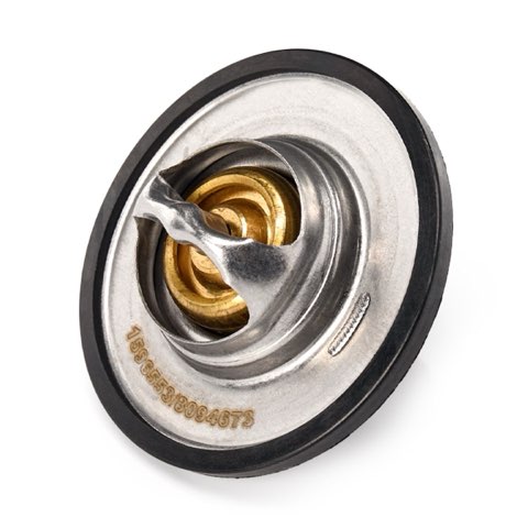 Ridex 316T0078 Thermostat, photo 3