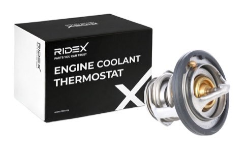 Ridex 316T0080 Thermostat, photo 2