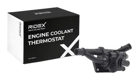 Ridex 316T0083 Thermostat, photo 2