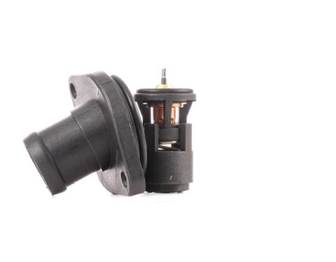 Ridex 316T0099 Thermostat