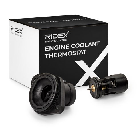 Ridex 316T0099 Thermostat, photo 2