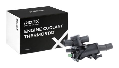 Ridex 316T0109 Thermostat, photo 2