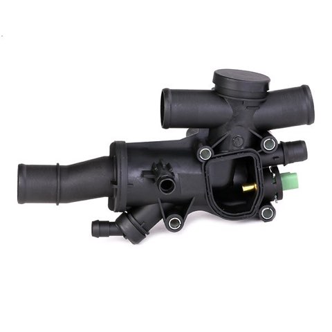 Ridex 316T0109 Thermostat, photo 3