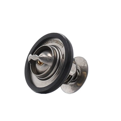 Ridex 316T0113 Thermostat