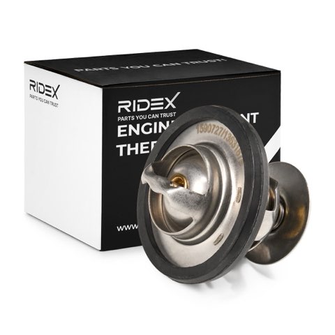 Ridex 316T0113 Thermostat, photo 2