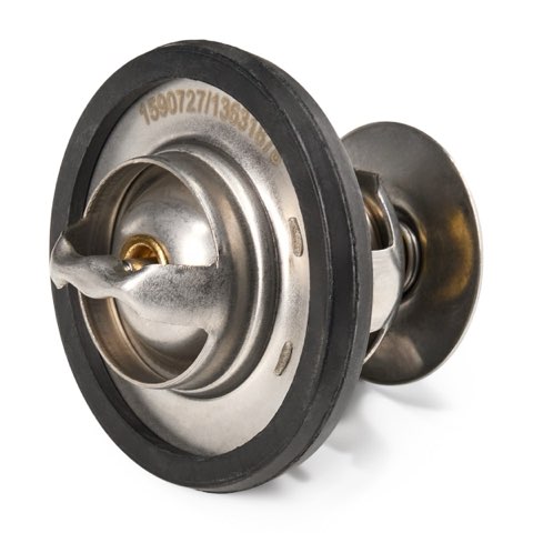 Ridex 316T0113 Thermostat, photo 3
