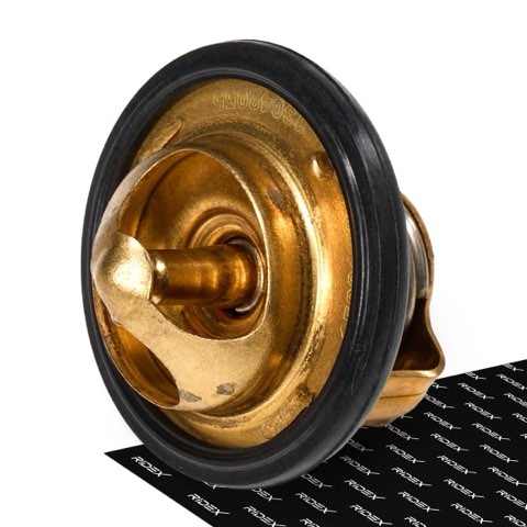 Ridex 316T0118 Thermostat, photo 2