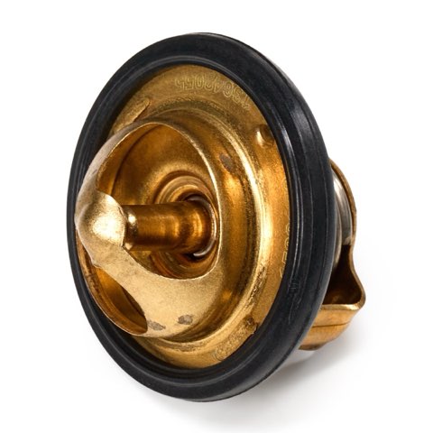 Ridex 316T0118 Thermostat, photo 3